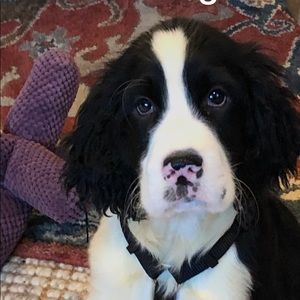 Meet your Posher, Catherine